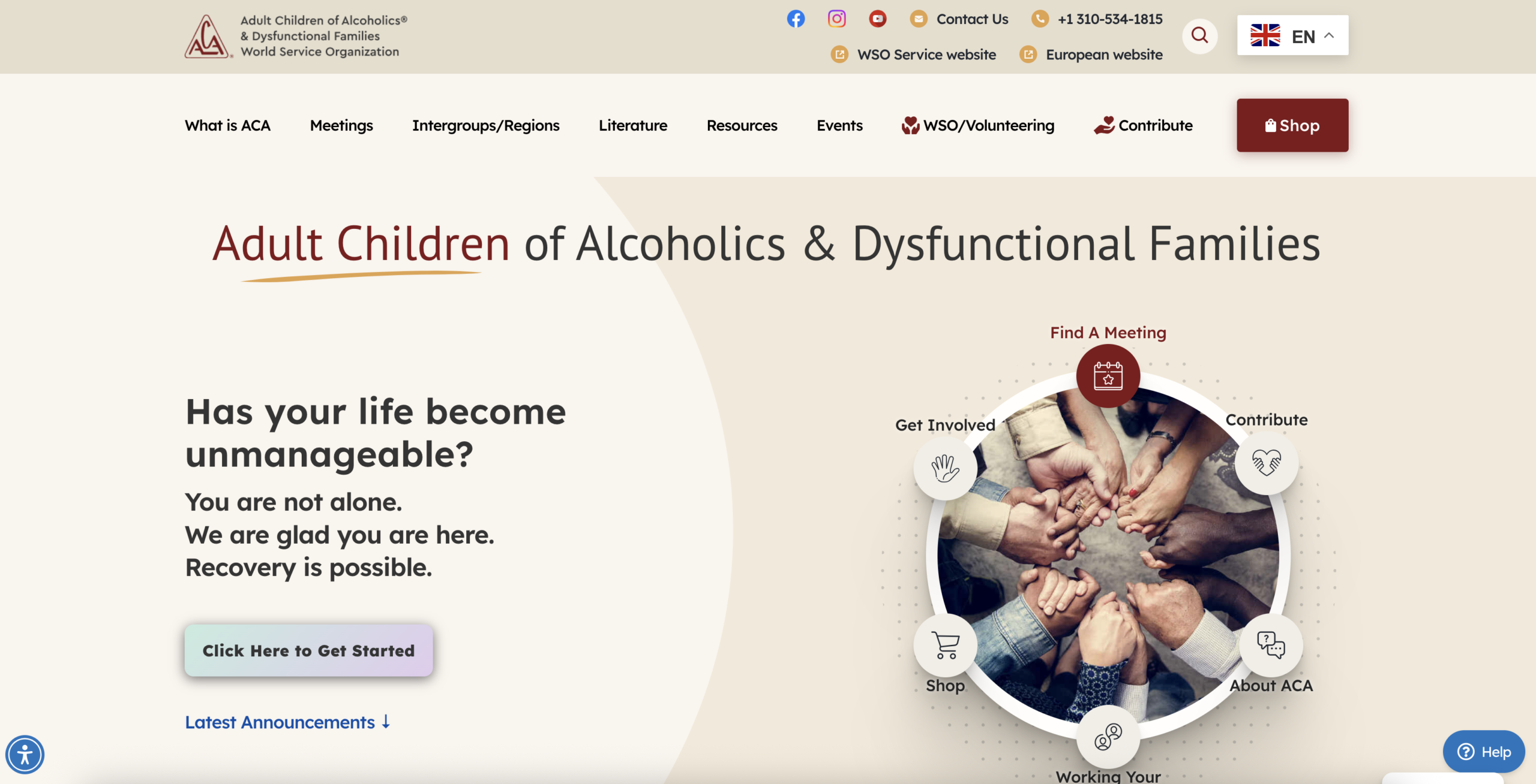 adult children website screenshot