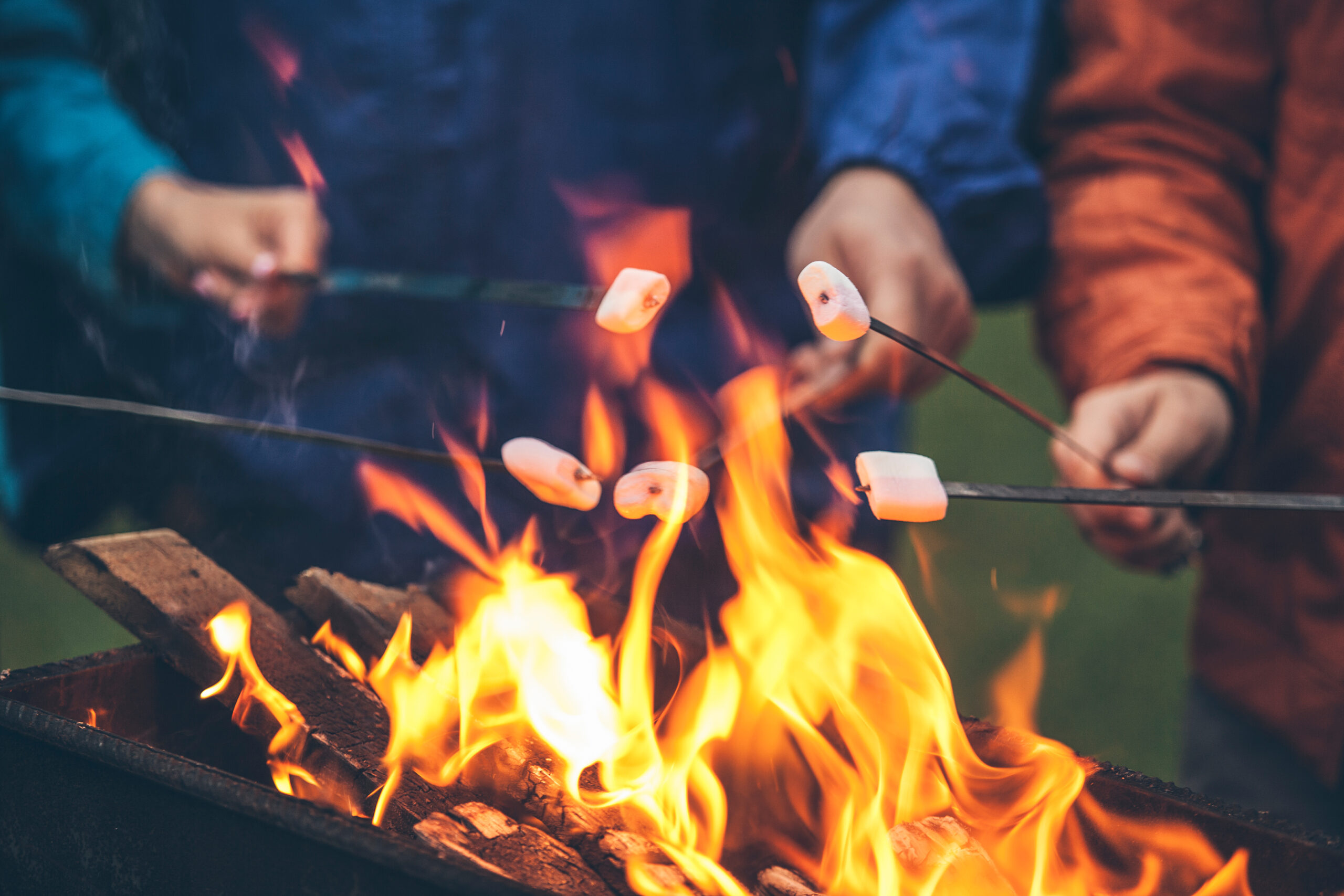 roasting marshmallows over a fire